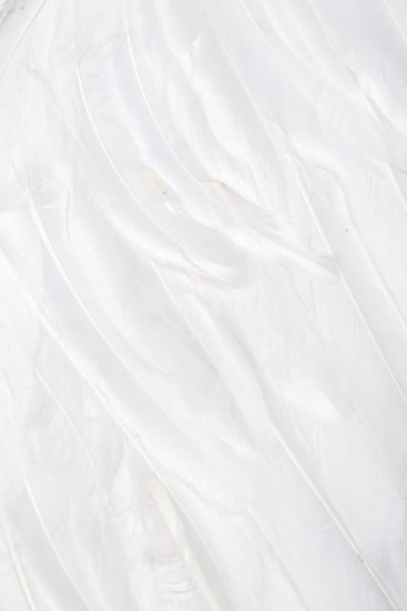 verführerisches Body Outfits mit Flügel